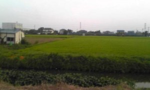 image094