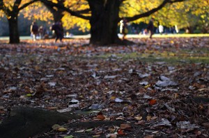 c0090139_1932778